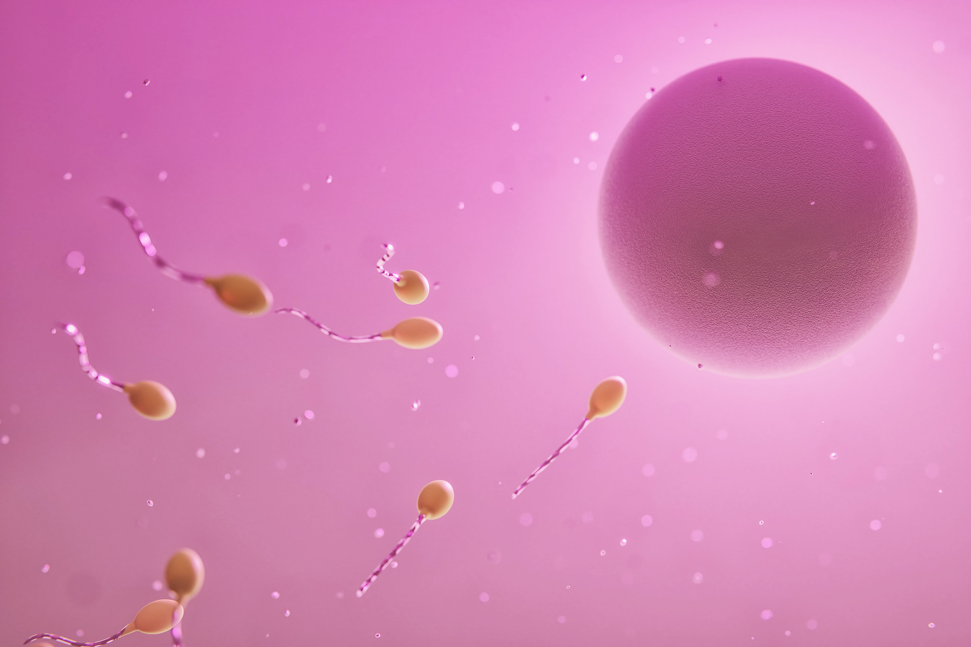 embryocare integratore gravidanza